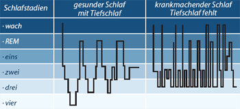 Grafik - Stadien